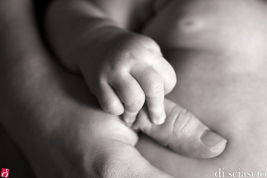 South Florida Baby Photography of Joanne Arnett and Douglas Arnett in Fort Lauderdale, FL from Lisette and Alessandro Di Sciascio of Di Sciascio Photography, South Florida wedding photography from Miami wedding photographers.