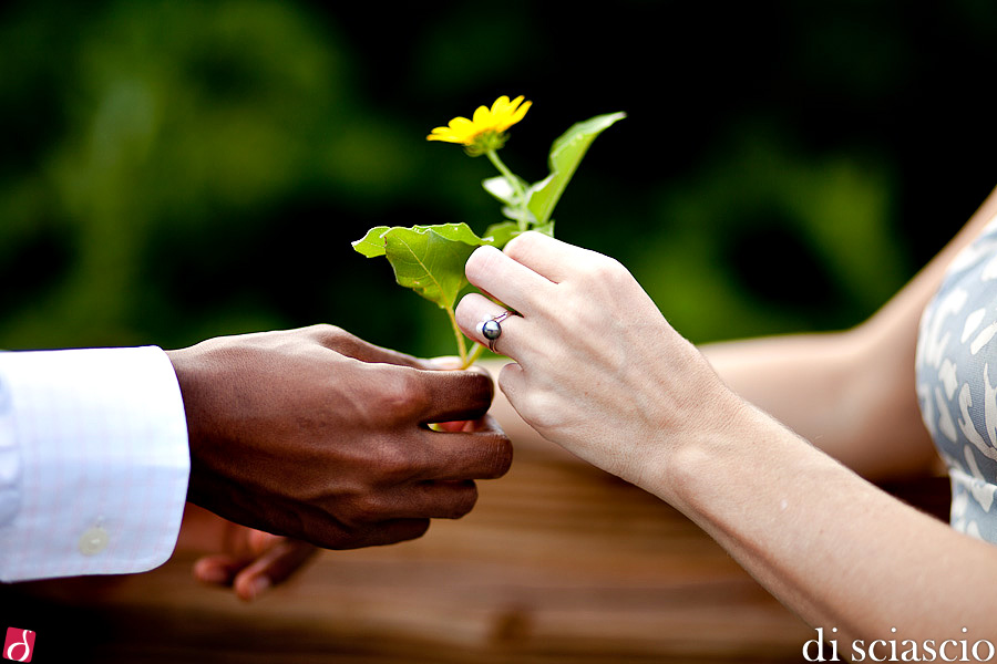 Engagement photography of Stephanie and Drack in Hollywood, FL from Lisette and Alessandro Di Sciascio of Di Sciascio Photography, South Florida wedding photography from Fort Lauderdale wedding photographers.