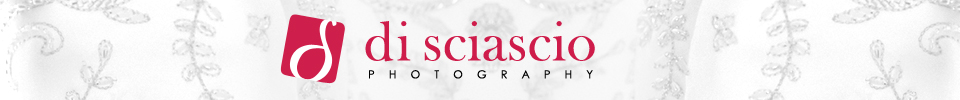 Di Sciascio photography logo