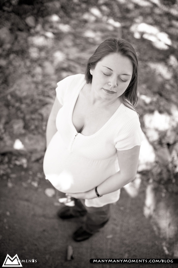 Joanne, Doug and Brendyn – Baby Bump family portrait session in North ...
